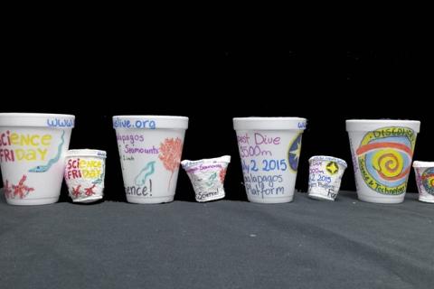 Mini deals styrofoam cups